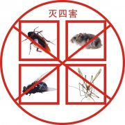 <b>白蚁防治中心:了解四害防治与PCO含义</b>